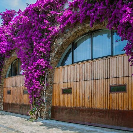 Villa Eliodora - Due Appartamenti Arenzano Kültér fotó