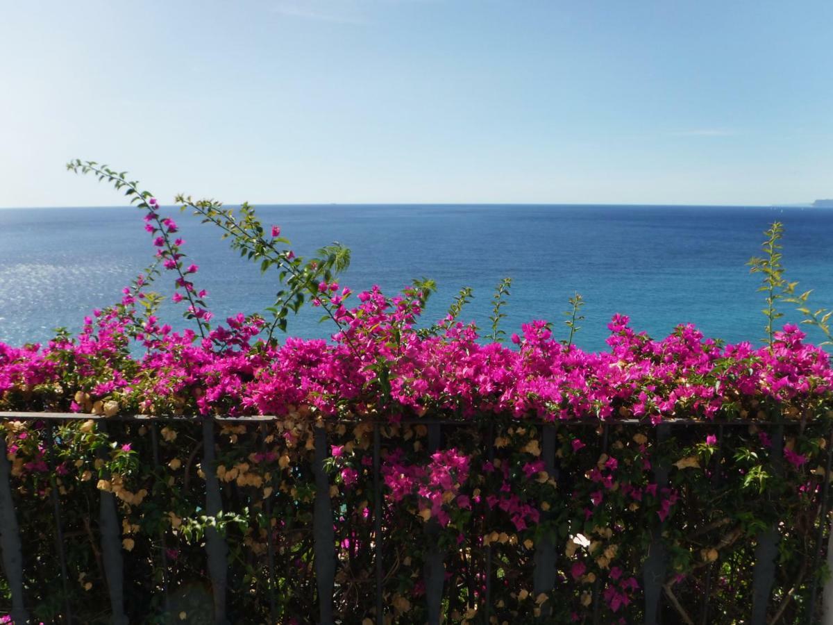 Villa Eliodora - Due Appartamenti Arenzano Kültér fotó