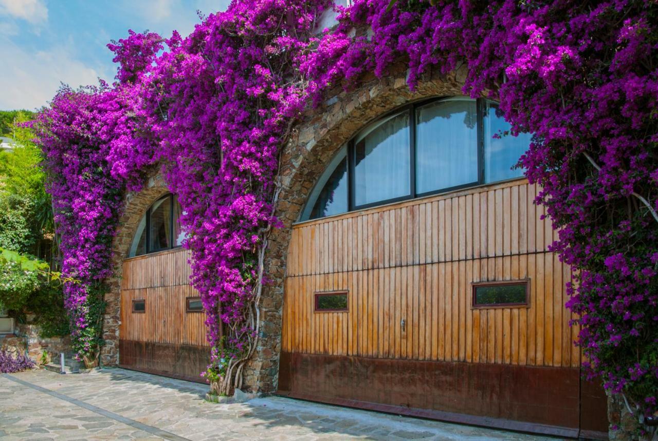 Villa Eliodora - Due Appartamenti Arenzano Kültér fotó